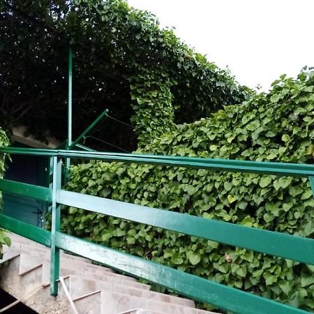 Green Oasis โบล ภายนอก รูปภาพ